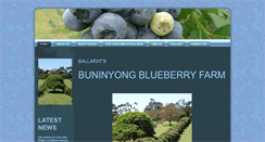 Desktop Screenshot of buninyongblueberries.com.au